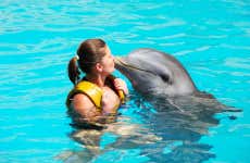 Nado con delfines en Ocean World