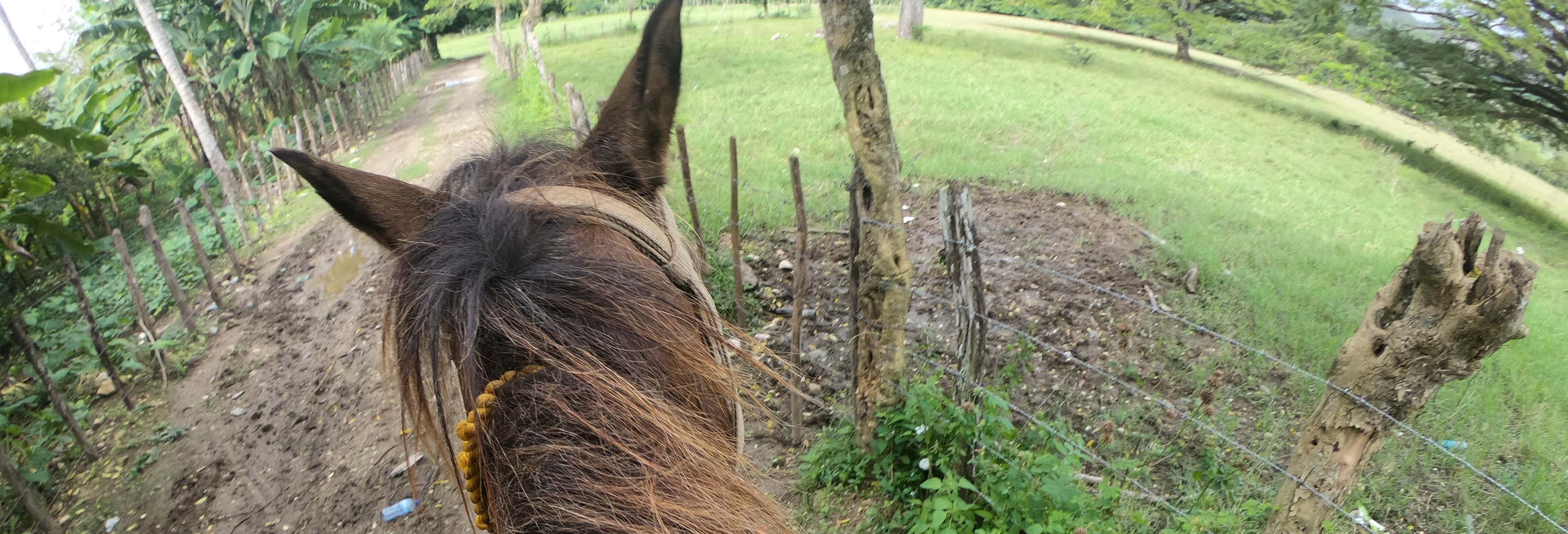 Passeio a cavalo por Jamao al Norte