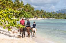 Puerto Plata Beach Horseback Ride