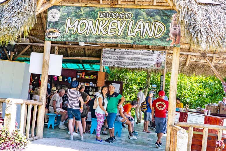Monkeyland