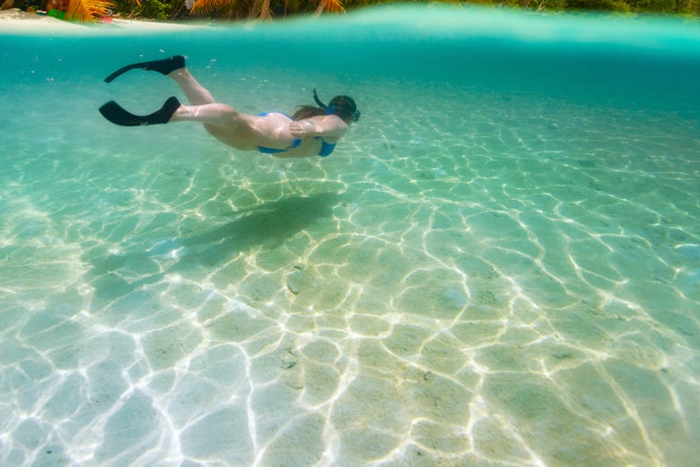 Snorkeling nella Repubblica Dominicana 