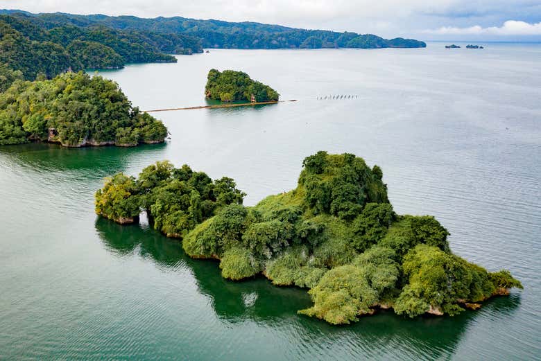 los haitises national park tour from samana