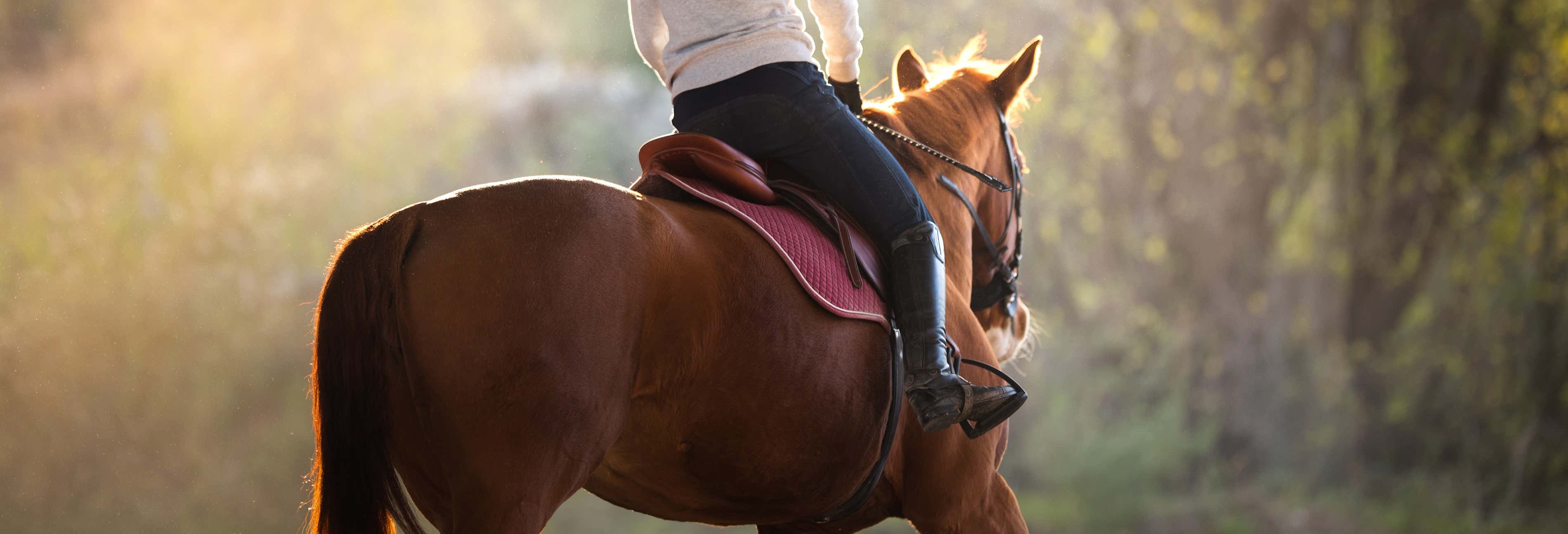 Balade à cheval à Saint-Christophe