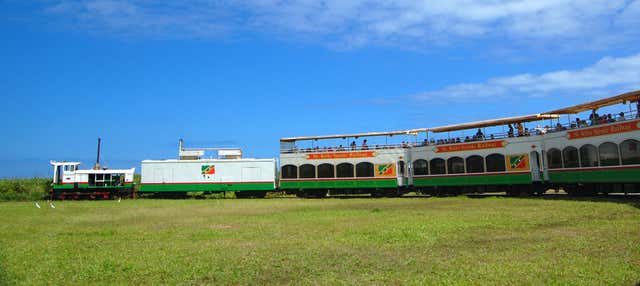 Tren y autobús panorámico de San Cristóbal