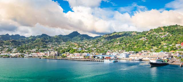 Visite guidée de Kingstown