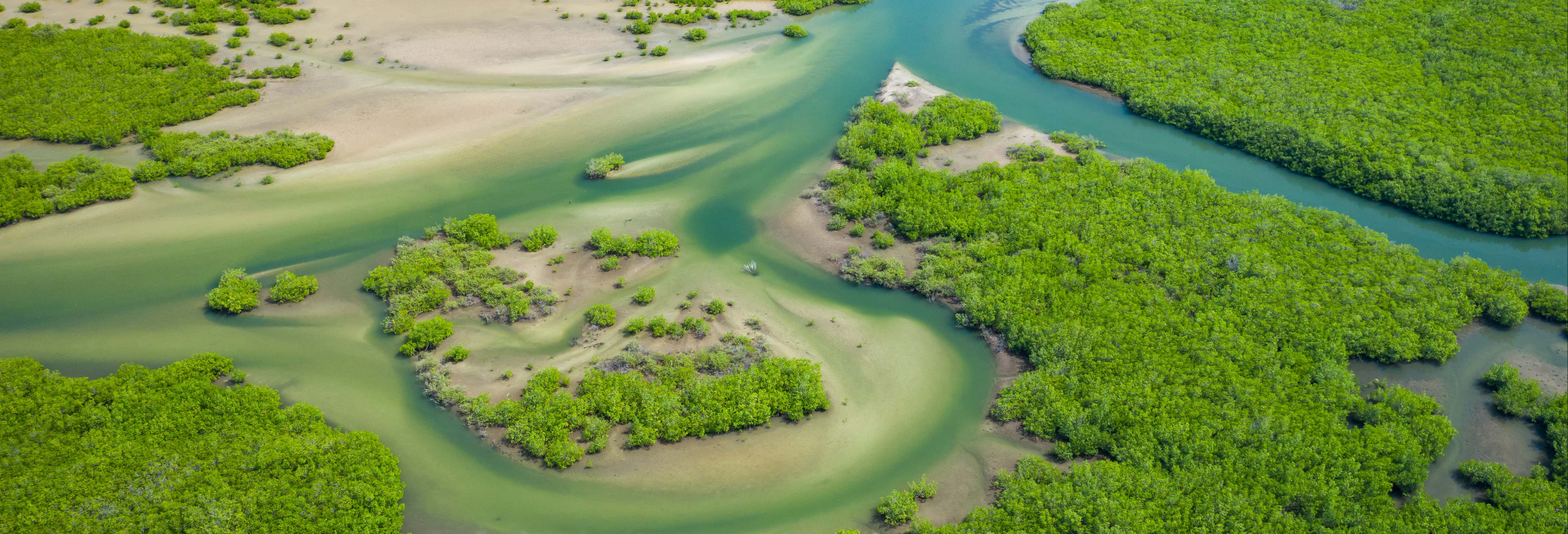 Escursione privata al Delta del Saloum
