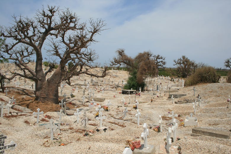 Cementerio de conchas