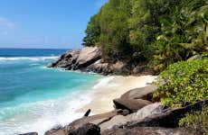Excursão à ilha de Moyenne