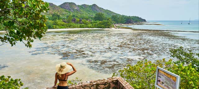 Excursão à ilha Curieuse
