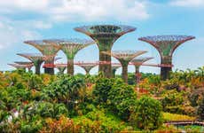 Ticket to the Gardens by the Bay