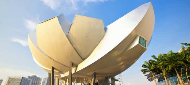 Ingresso do Museu de Arte e Ciência