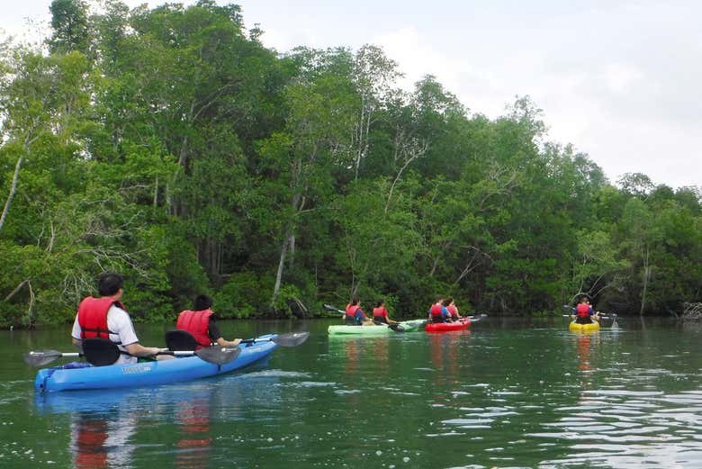 Pulau Ubin Island Sunset Kayak Tour, Singapore