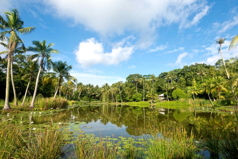 The beautiful landscapes in Pulau Ubin