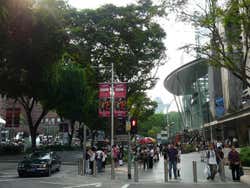Orchard Road