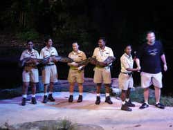 Night Safari