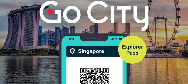 Singapore Flexi Passion Pass