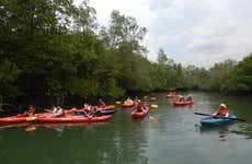 Tour en kayak por Pulau Ubin