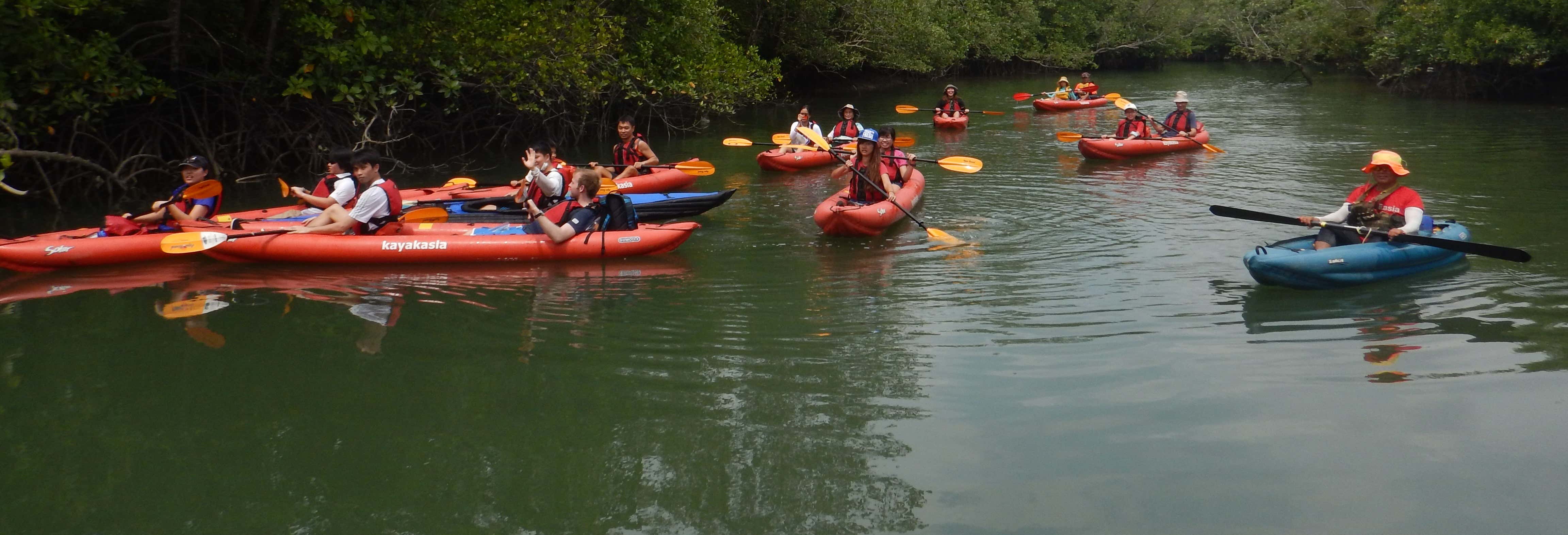 Tour en kayak por Pulau Ubin
