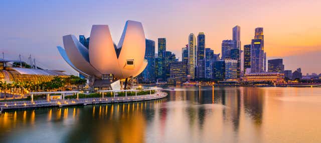 Tour nocturno por Singapur con cena