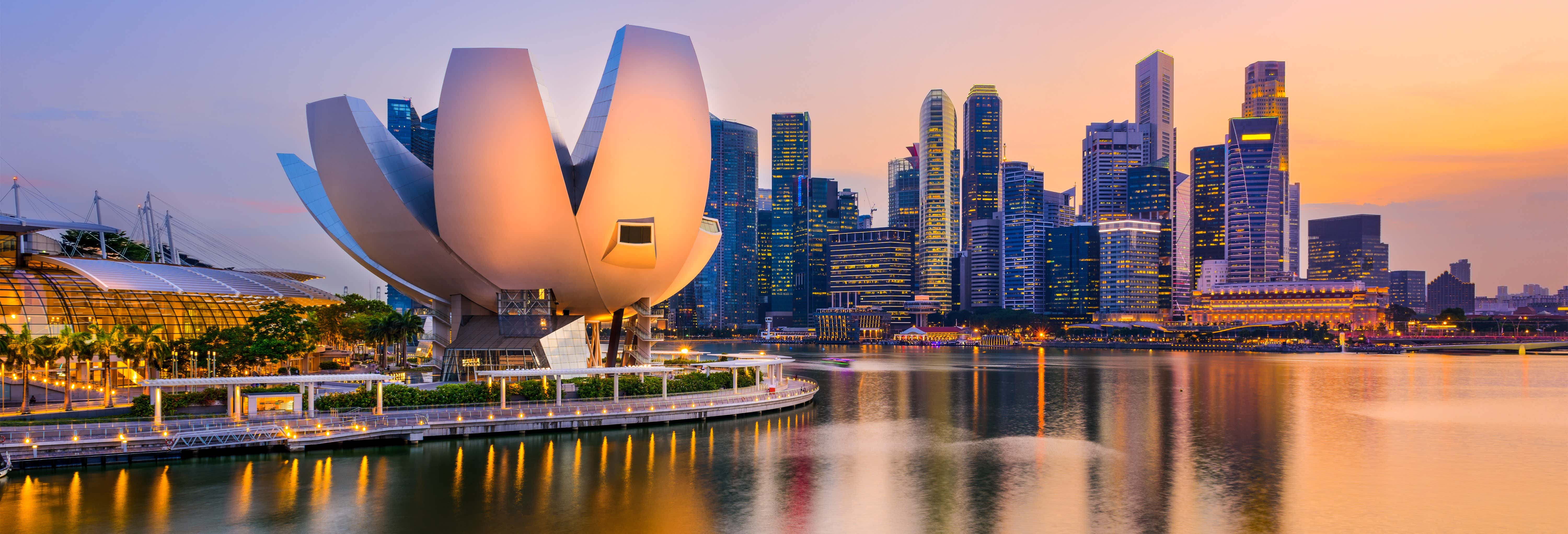 Tour serale di Singapore con cena