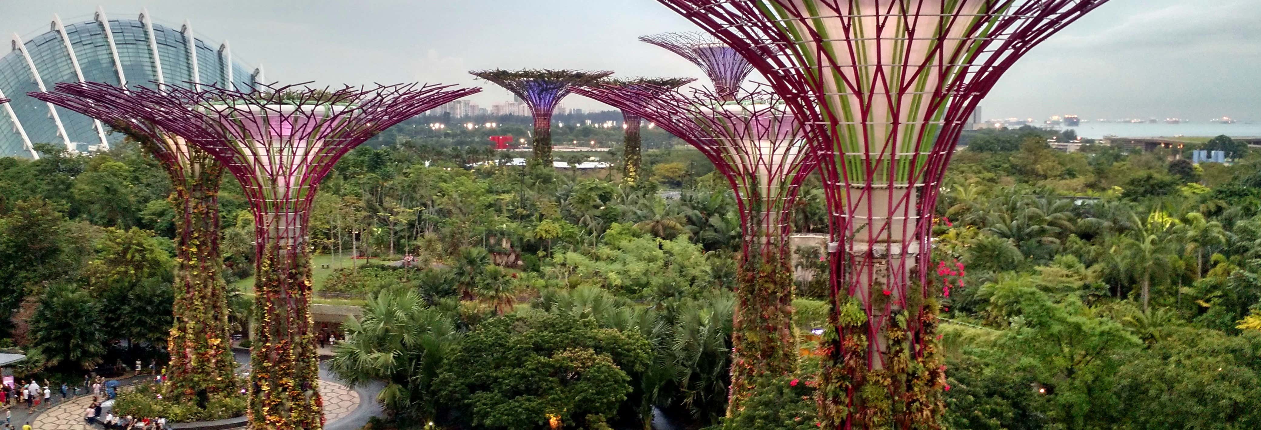 Tour privado por Marina Bay Sands e Gardens by the Bay