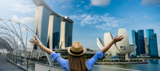 Tour privado por Singapur para cruceros