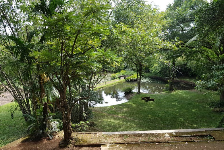 Jardín en la finca Lunuganga