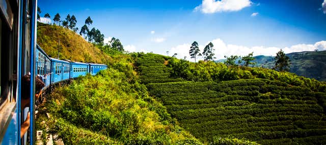 Excursão a Kandy
