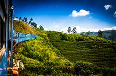 Excursão privada a Kandy