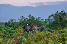 Excursão privada a Udawalawe