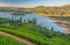 Tour di Nuwara Eliya in 2 giorni