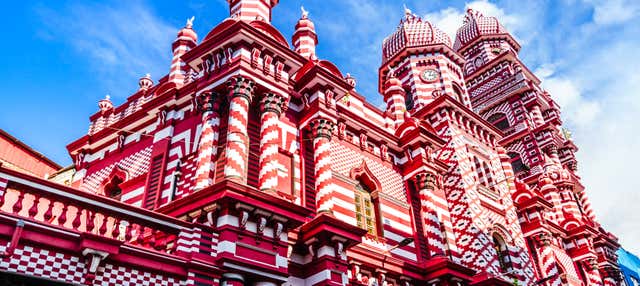 Visita guiada privada por Colombo