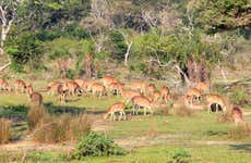 Safari por el Parque Nacional Wilpattu