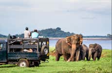 Safári pelo Parque Nacional Yala