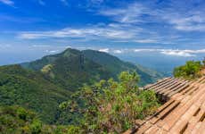 Horton Plains and Tea Estate Tour