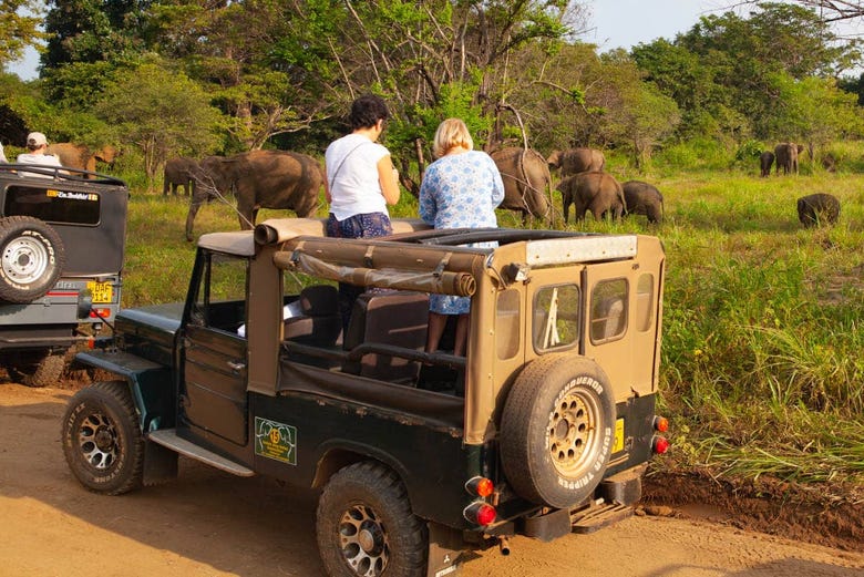 Safari por el Parque Ecológico de Hurulu