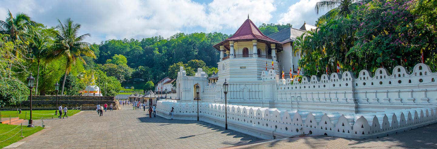 Excursión privada a Kandy