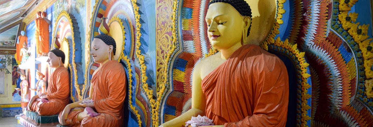 Tour privato di Negombo