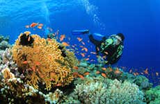 Nilaveli Fun Diving for Certified Divers