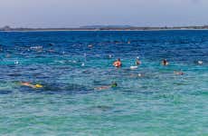 Snorkeling a Pigeon Island