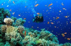 Bautismo de buceo en Trincomalee