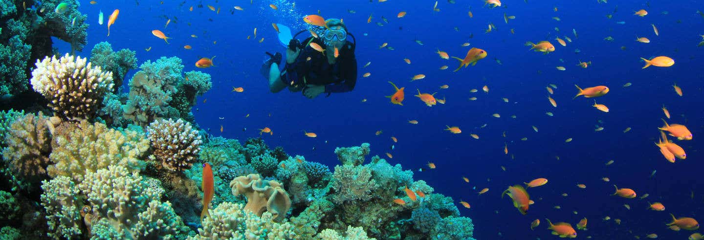 Immersione per principianti a Trincomalee