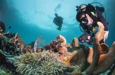 Curso PADI Advanced Open Water Diver