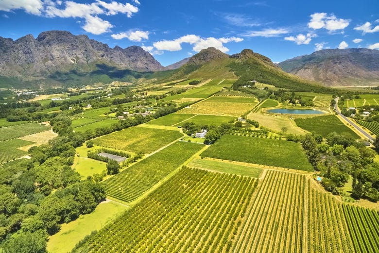 Stellenbosch, região vinícola por excelência