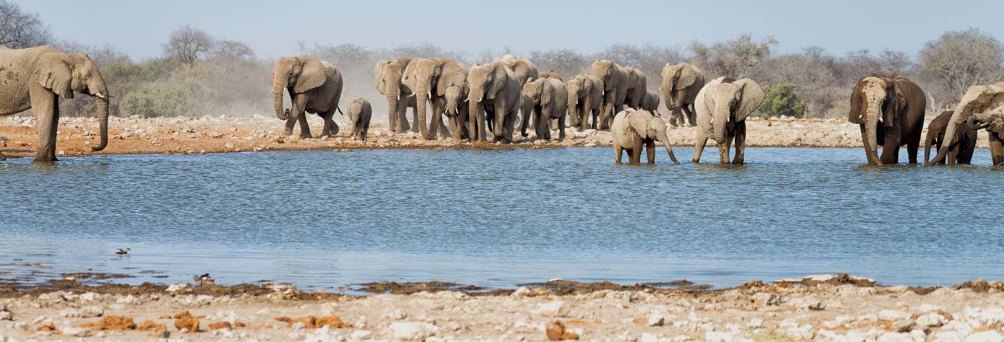 Safari de 12 días por Namibia