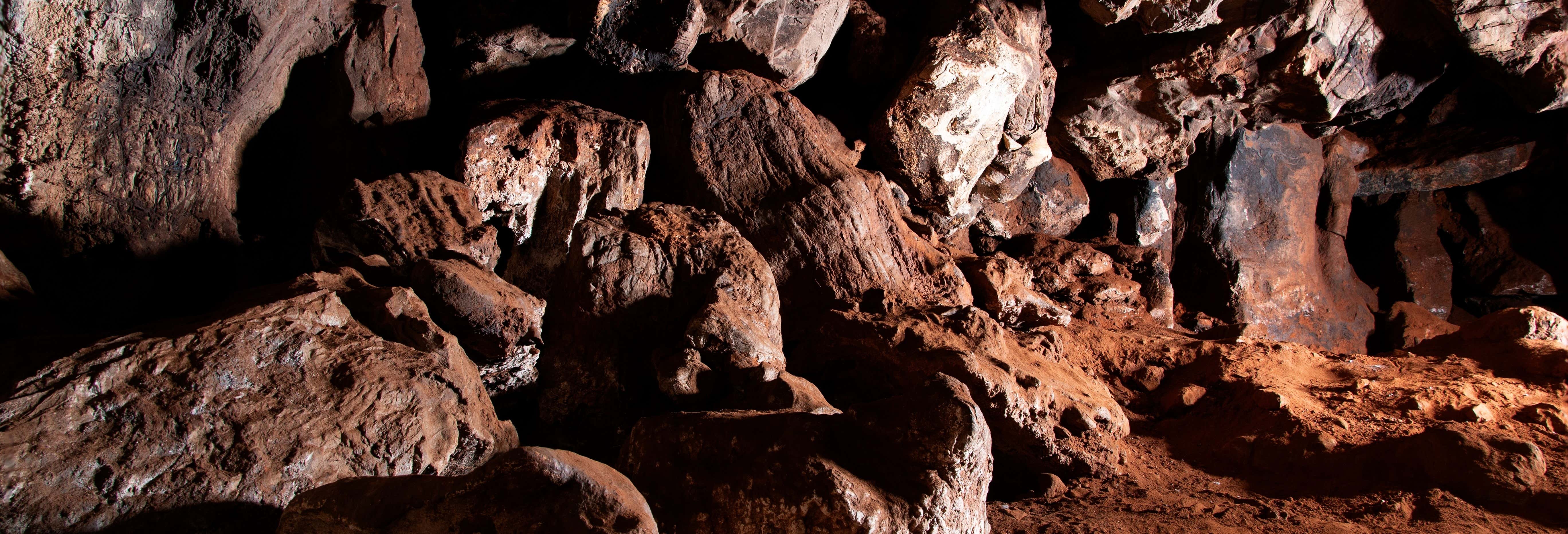 Sterkfontein Caves Tour