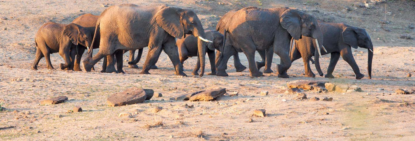 Safari de 7 días por Kruger y Mlilwane