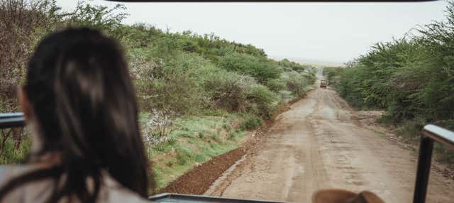 Safari al Pilanesberg National Park + Sun City