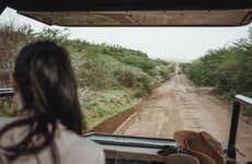 Safari al Pilanesberg National Park + Sun City