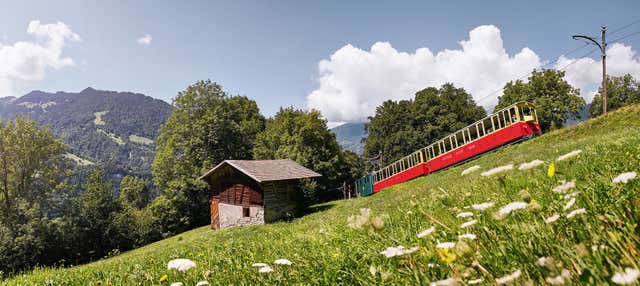 Tren cremallera a Schynige Platte
